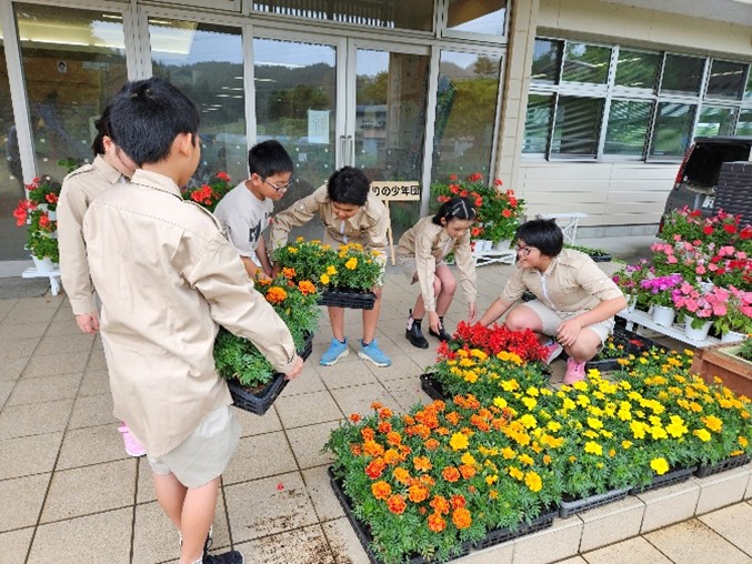 学級園への植栽1