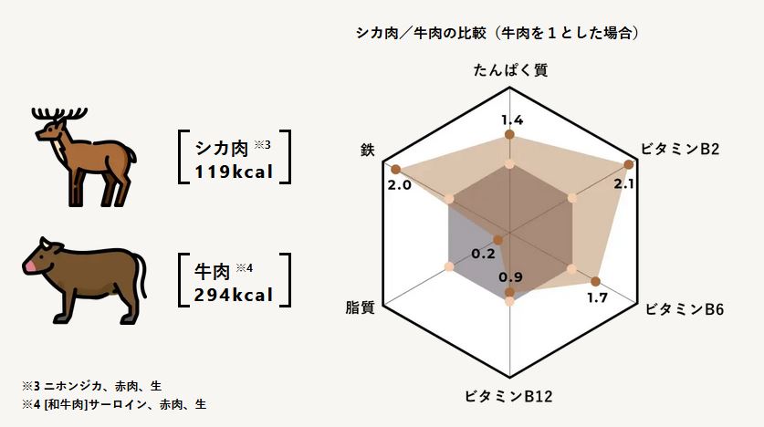 シカ栄養