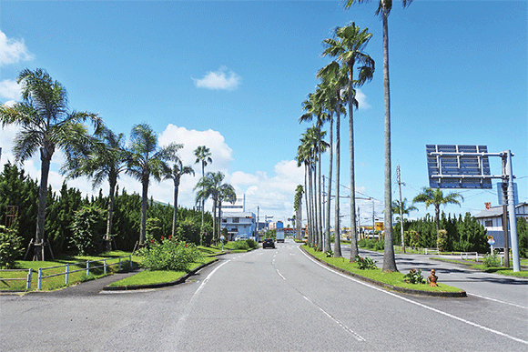 写真:沿道修景植栽地区