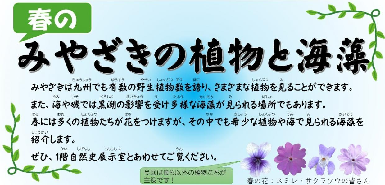 春のみやざきの植物と海藻