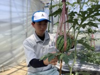 生育調査の様子