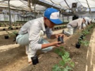 ていしょく