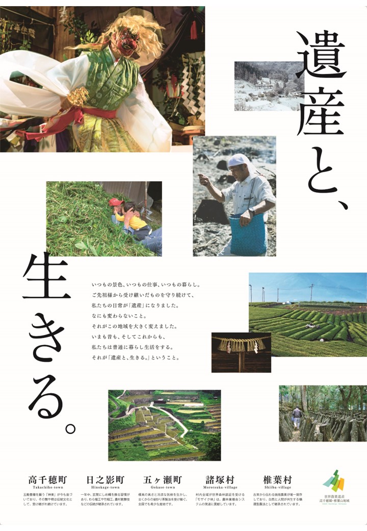 画像11