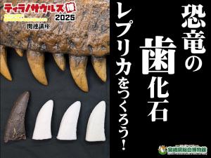 恐竜の化石レプリカをつくろう！
