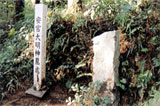 安姫の墓の写真