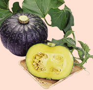 ݂₴m킩ڂ