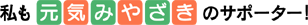 C݂₴݂₴̃T|[^[I