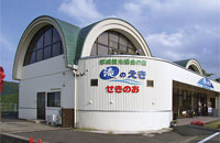 滝の駅「関之尾」