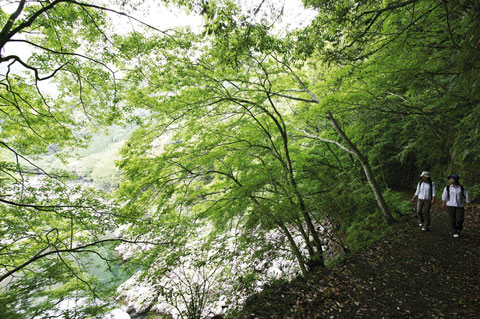 石垣の村トロッコ道ウォーキングコース