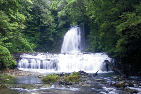 水辺の風景