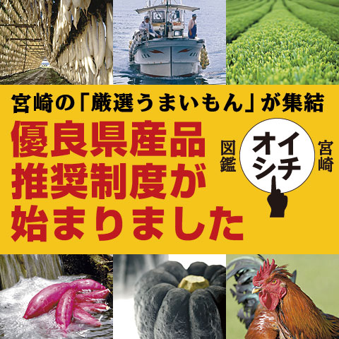 宮崎イチオシ図鑑