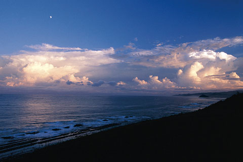 美しい宮崎の海