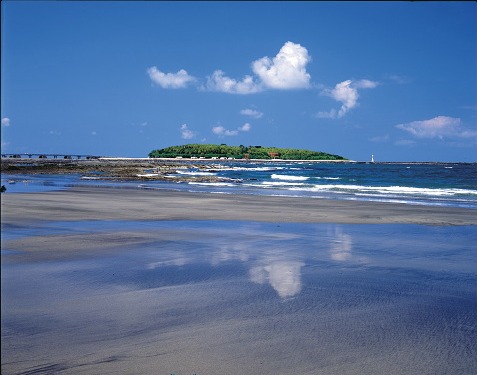 青島