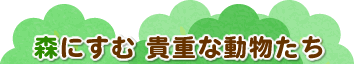 XɂދMdȓ