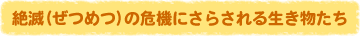 ł̊@ɂ炳鐶